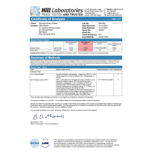 Manuka Honig MGO 460+, 500g