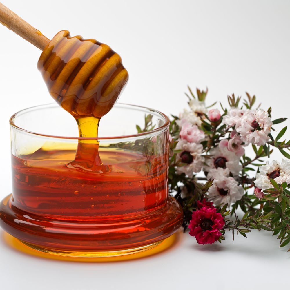 Manuka Honig – Hochwertiger Premium-Honig online
