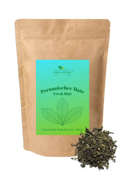 Fresh Mint (Mate de Coca + Minze)