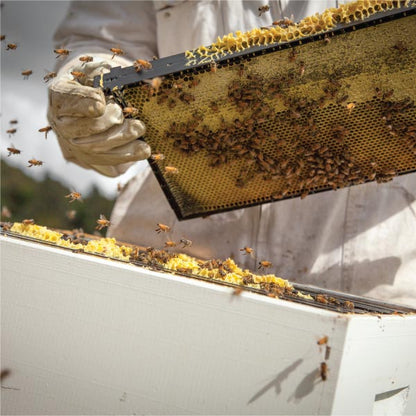 Manuka Honig MGO 280+, 225g