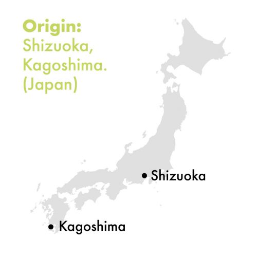 Grüner Tee - Japan Ceremonial Matcha "Hisui"